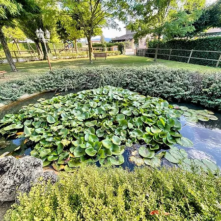Italy At Its Best With A Unique That Sleeps 16 With Child Activity Park Willa